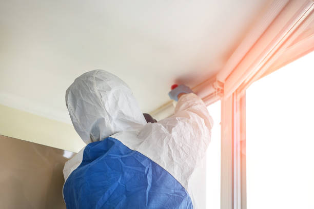 Professional Mold Removal Services in Akron, IN